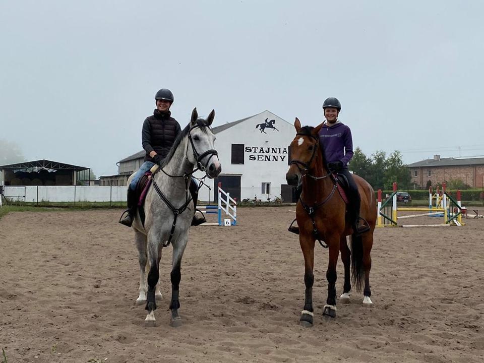Noclegi Przy Stajni Senny - Horse Riding Łeba Esterno foto